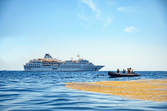 The RCGS Resolute at anchor beside a floating bed of sargassum weed.