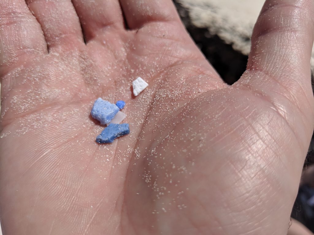 Small fragments of weathered plastic lying on wet sand.
