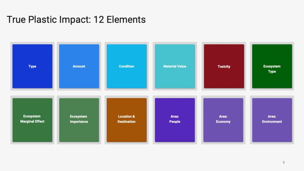 Diagram setting out the twelve elements of the True Plastic Impact framework.